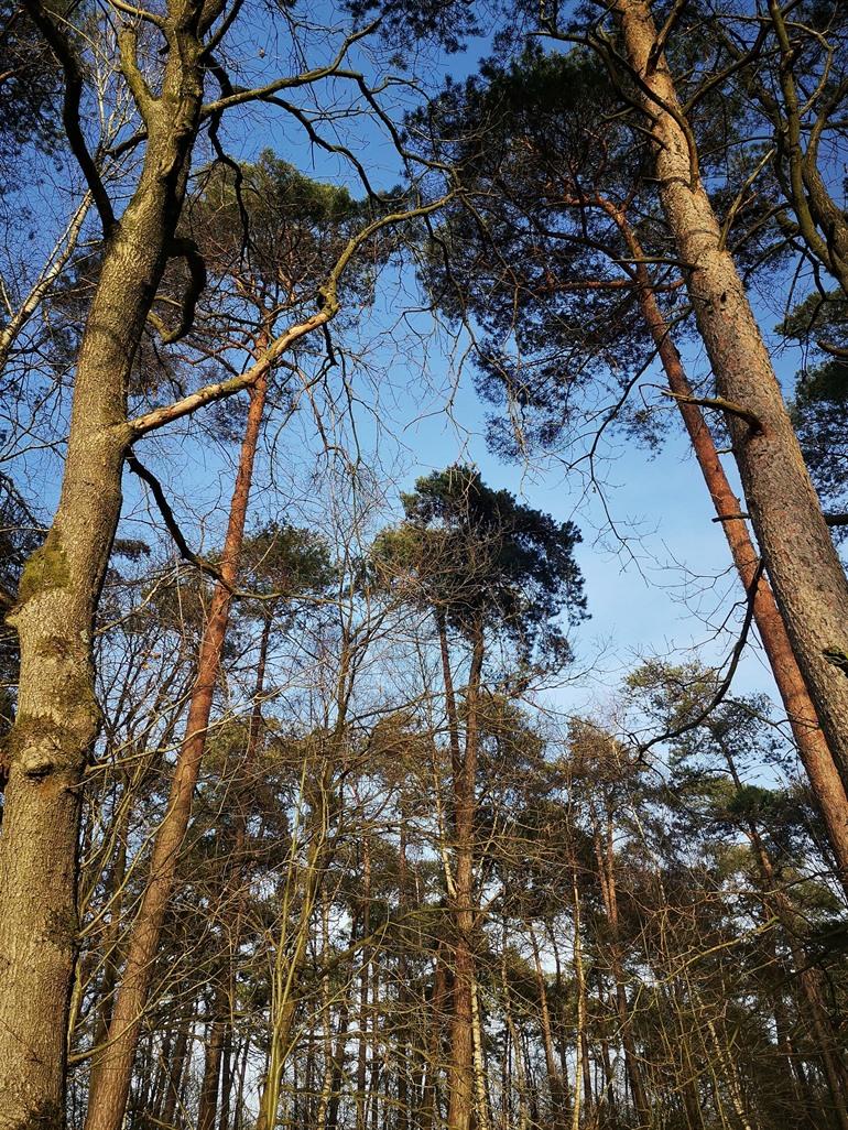 Wandeling langs het Pagadderpad in Dessel