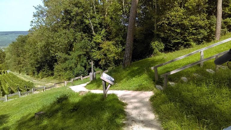 Wandeling Mont Bernon vanaf Epernay