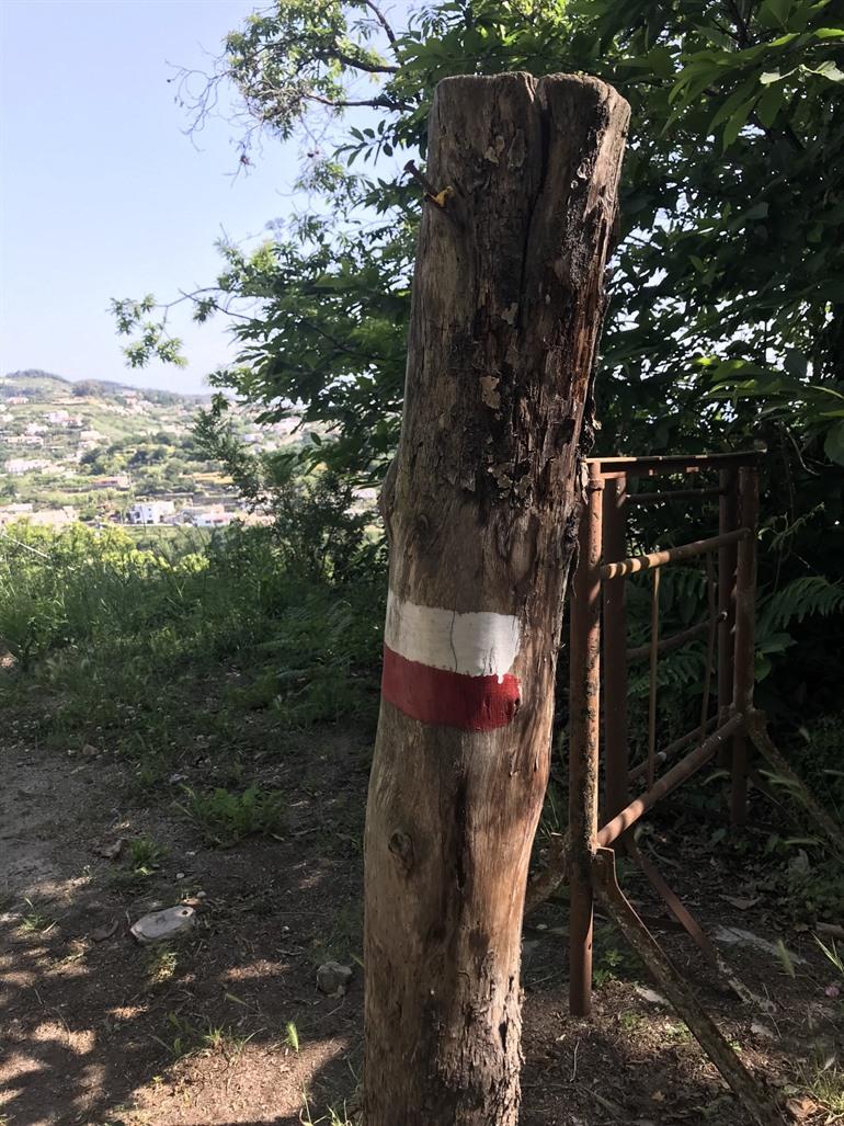 Wandeling naar Baia della Scarrupata