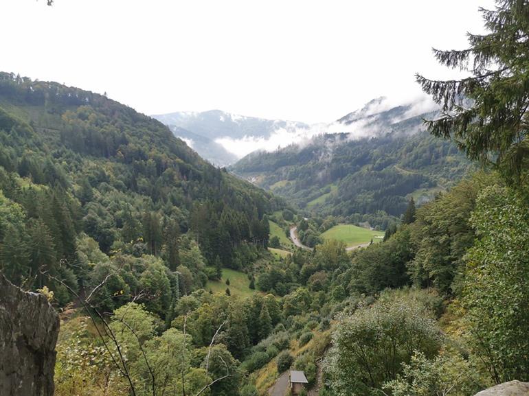 Wandeling naar de Todtnau watervallen, Zwarte Woud