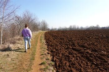 Wandeling Prënzebierg - Le Pays des Terres Rouges