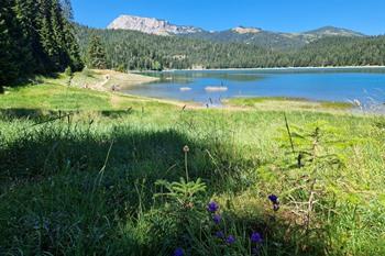 Wandeling rond Black Lake in Durmitor Nationaal Park