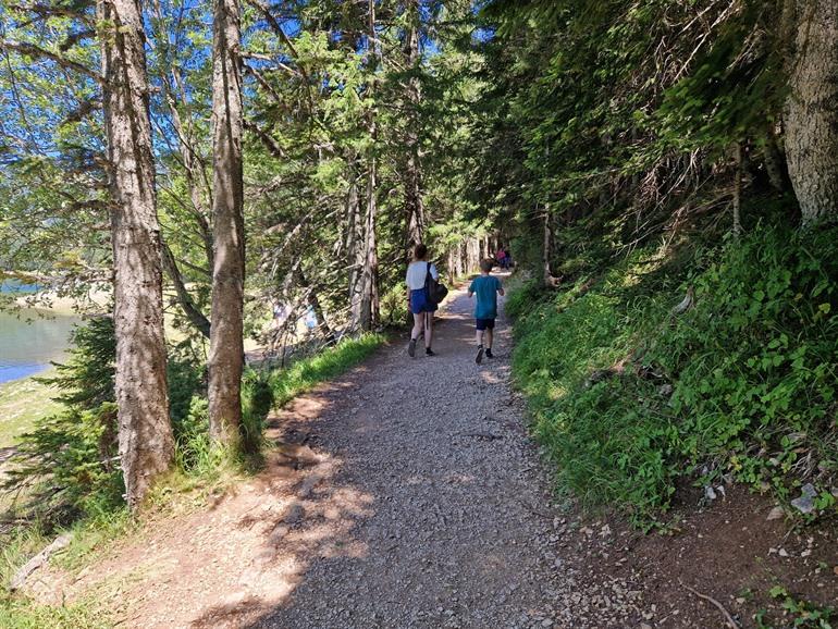 Wandeling rond Black Lake in Durmitor Nationaal Park