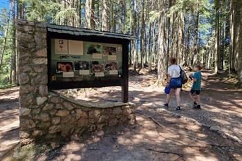 Wandeling rond Black Lake in Durmitor Nationaal Park