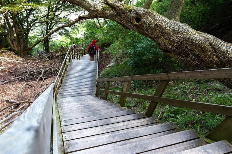 Wandelpad naar de Krijtrotsen Møns Klint, Denemarken