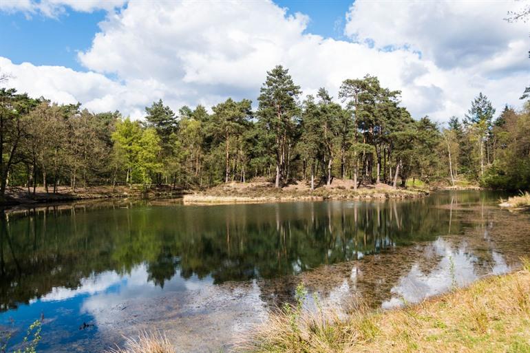 Wandelroute Heidestein, Utrechtse Heuvelrug