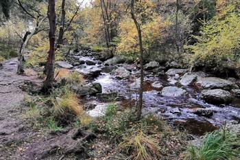 Wandelroute Hoëgne (Jalhay)