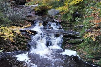 Wandelroute Hoëgne (Jalhay)