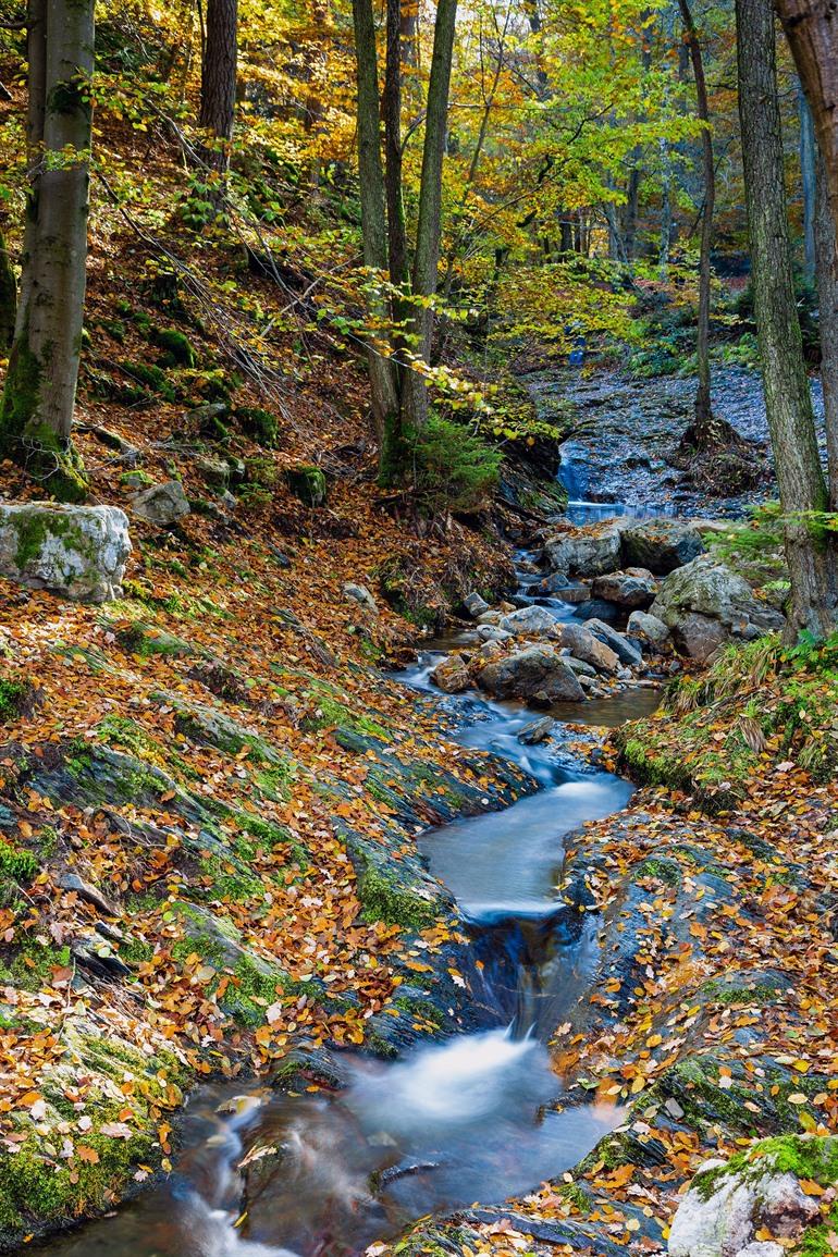 Wandelroute Ninglinspo, enige bergrivier in België
