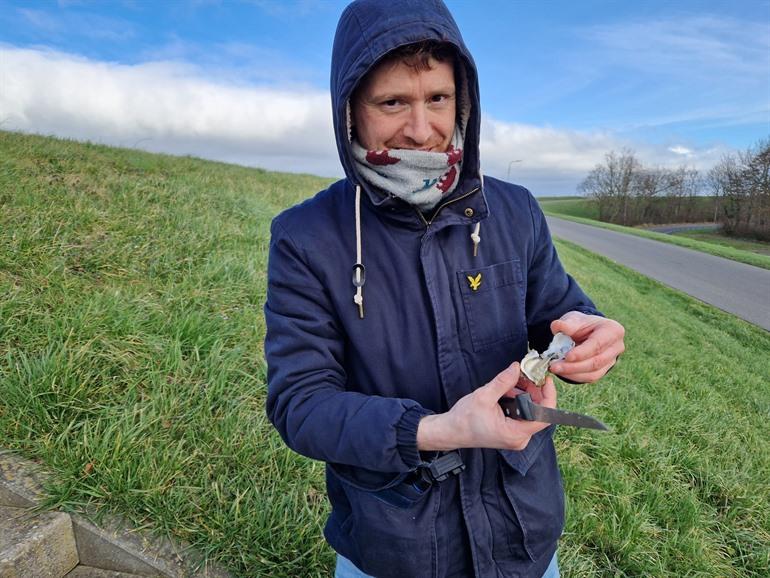 Wat is de beste periode om oesters te plukken?