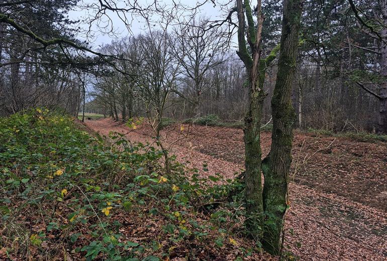 Waterwinbossen, Niemandsland wandelroute