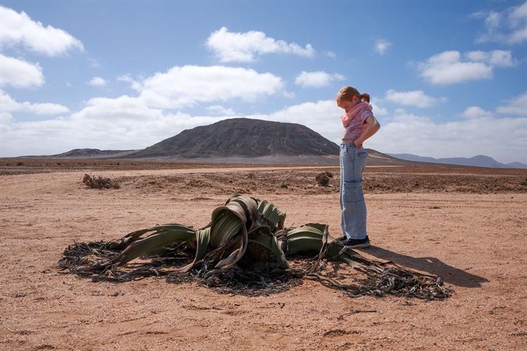 Welwitschia Drive, nabij Swakopmund