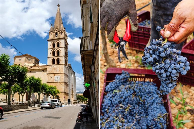 Wijndorpje Binissalem, Mallorca