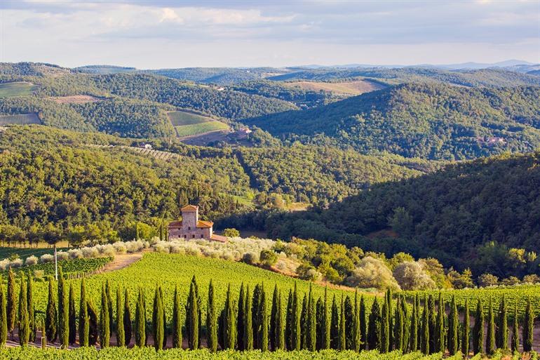 Wijngaarden Castello di Albola, Chianti-regio