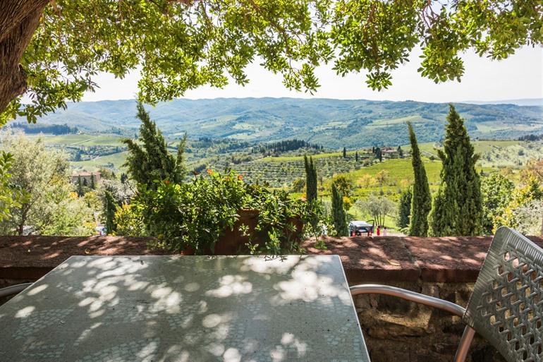 Wijngaarden, Panzano, Toscane