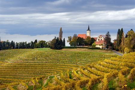 Wijngaarden van Jeruzalem op Sloveense heuvels