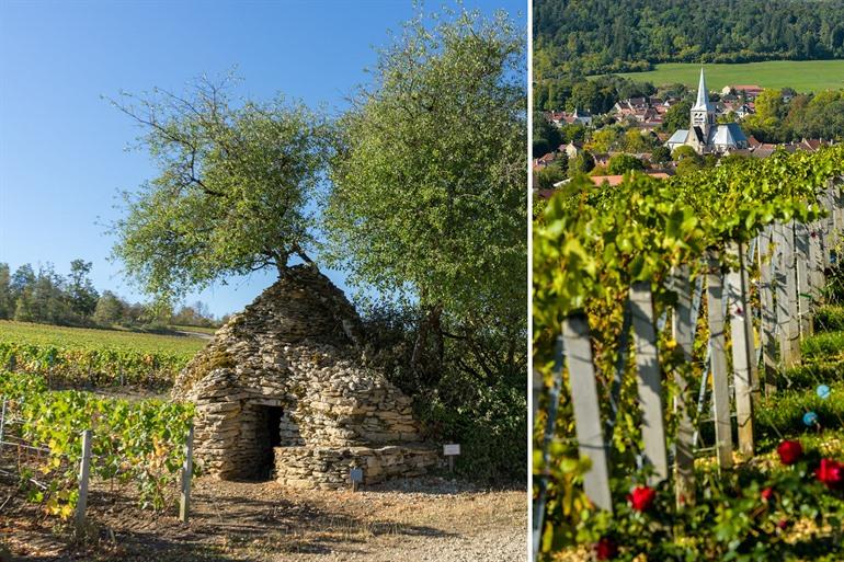 Wijngaarden van Les Riceys, Champagnestreek