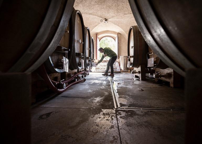 Wijnhuis Manincor, nabij Bolzano