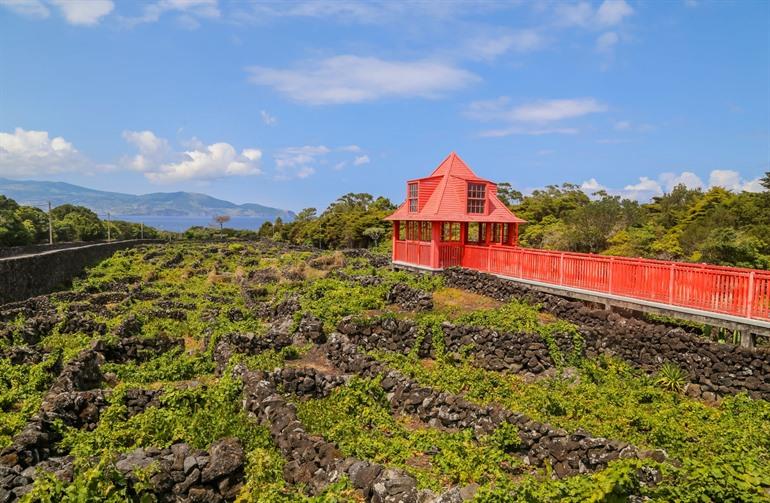 Wijnmuseum op het eiland Pico