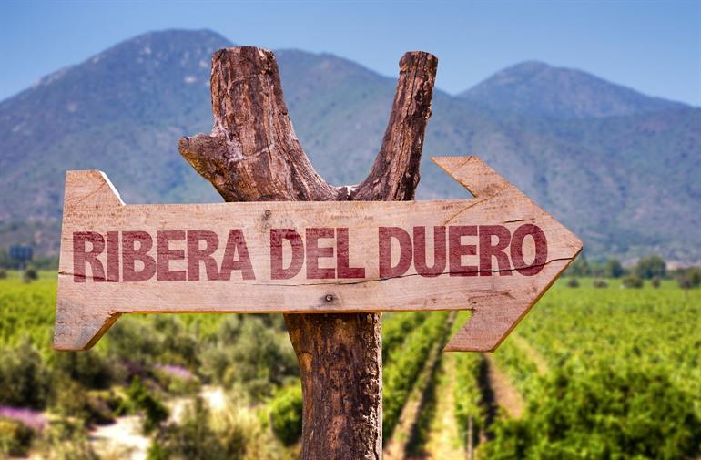 Wijnproeverij in Ribera del Duero boeken vanuit Valladolid