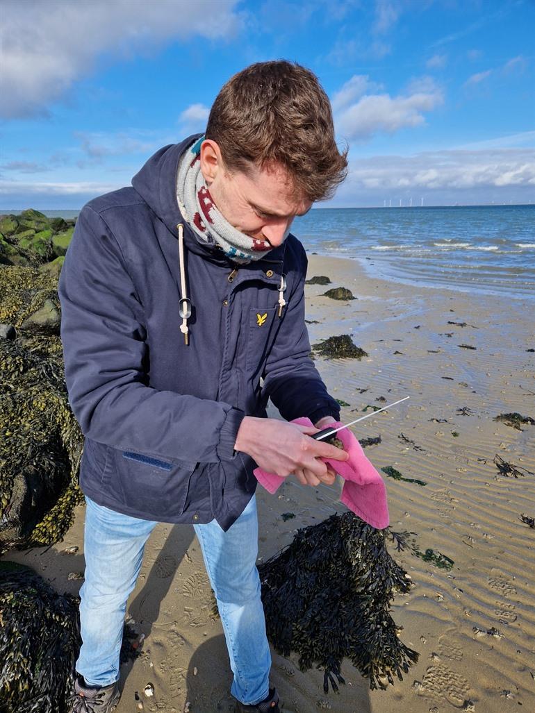 Wilde oesters gaan plukken