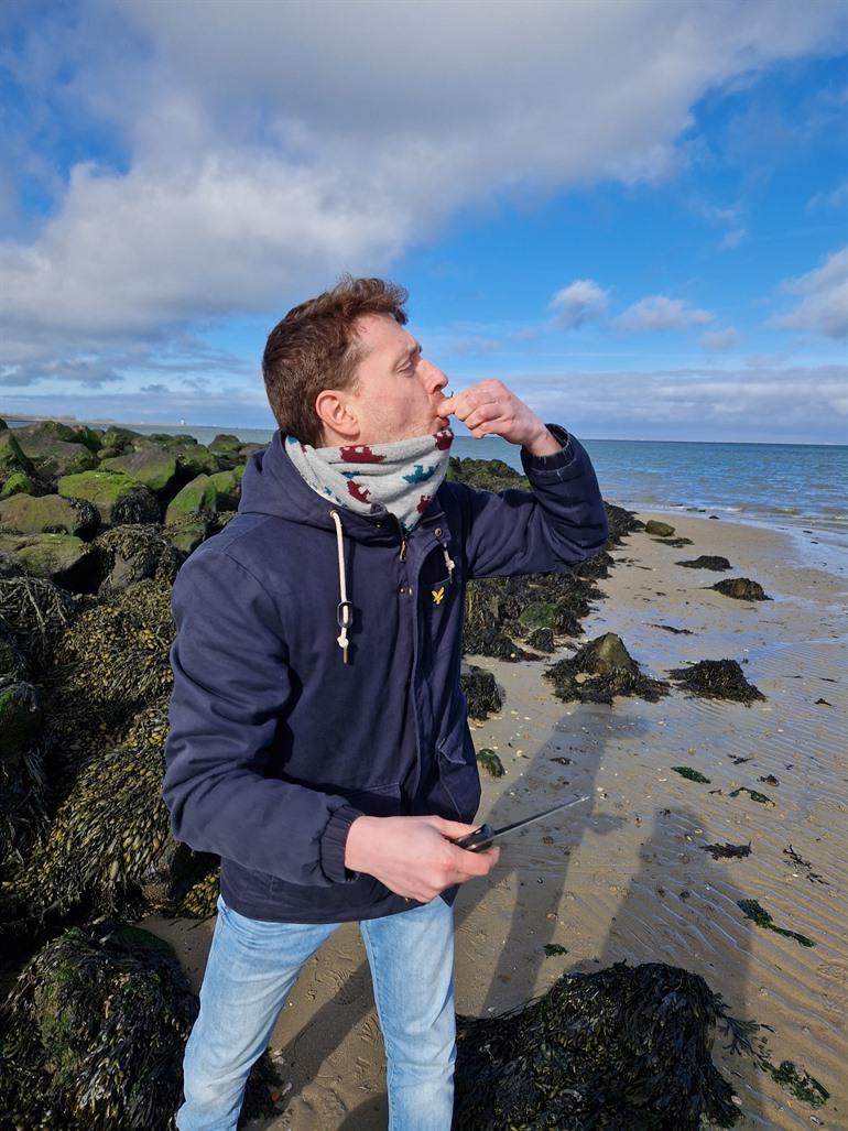 Wilde oesters gaan plukken