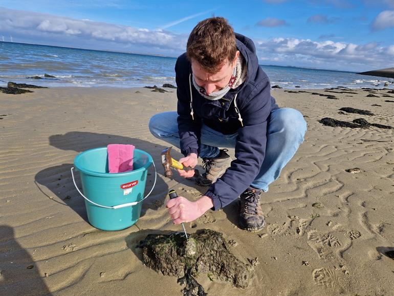 Wilde oesters gaan plukken