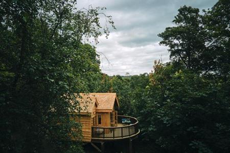 Wildhive Callow Hall in Ashbourne boeken
