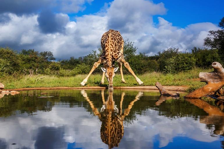 Wildlife spotten in Kruger National Park