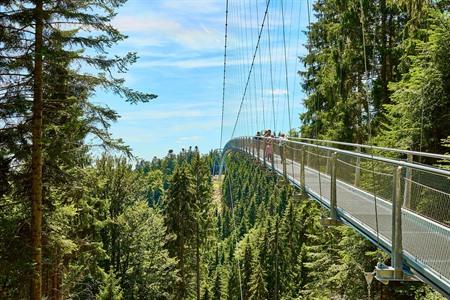 Wildline hangbrug in Duitsland