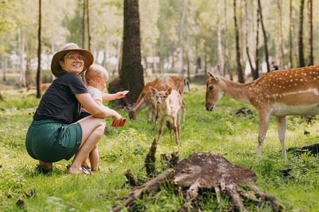 Wildpark Wernigerode Christianental