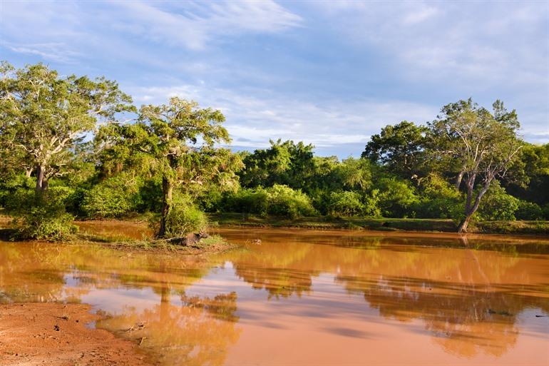 Wilpattu National Park in Sri Lanka