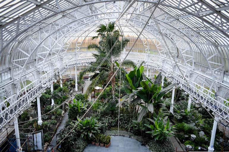 Winter Gardens bij The People's Palace in Glasgow, Schotland