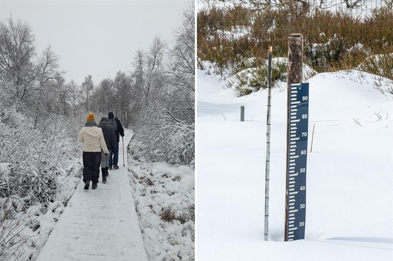 Winterwandelen in de Hoge Venen (Ardennen)
