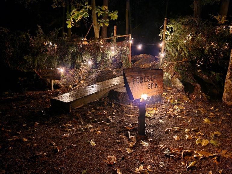 Winterwoods in Drenthe