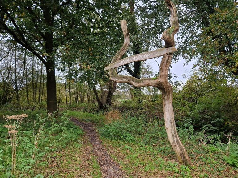 Wolvenspoor wandeling in Drenthe