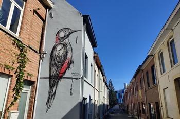 Woodpecker van Dzia, Street-art route Kessel-Lo