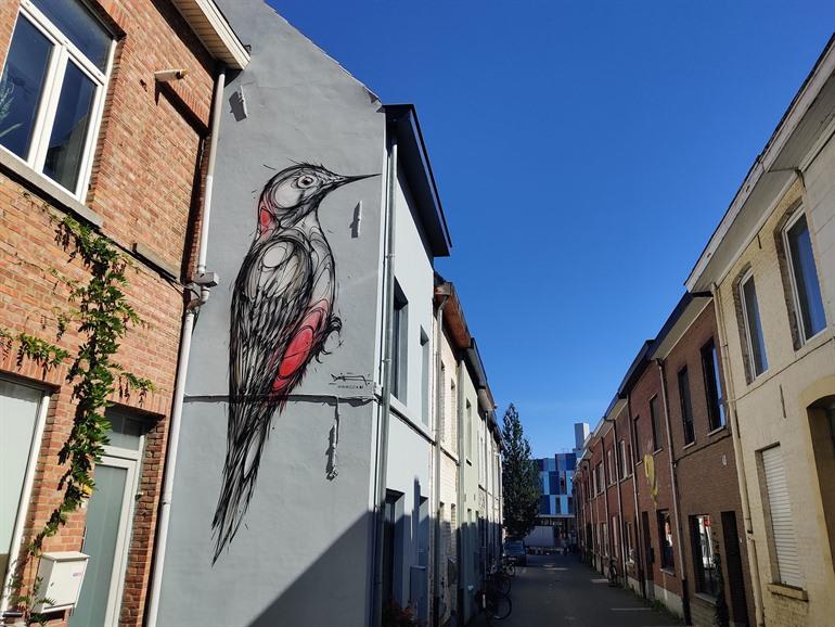 Woodpecker van Dzia, Street-art route Kessel-Lo