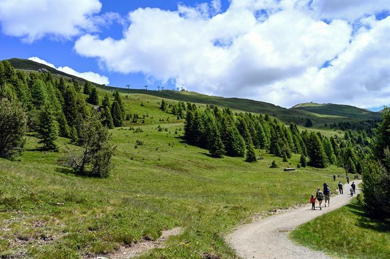 WoodyWalk op de Plose, de huisberg van Brixen