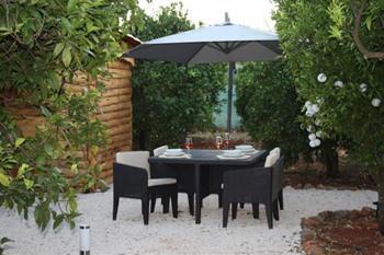 Yurt in orange grove