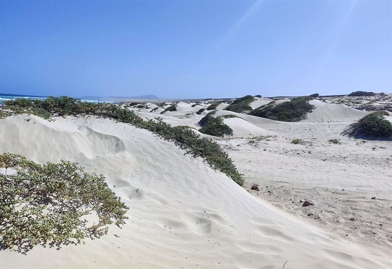 Zandduinen bij Cabo Santa Maria scheepswrak, Boa Vista