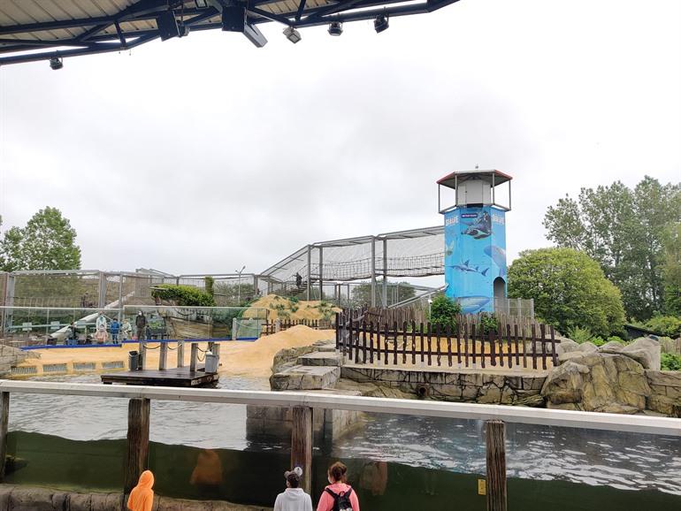 Zeehonden- & zeeleeuwenverblijf in SEA LIFE