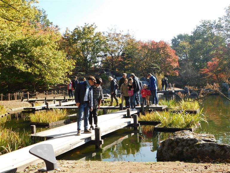 Zigzagbrug in de Japanse Tuin