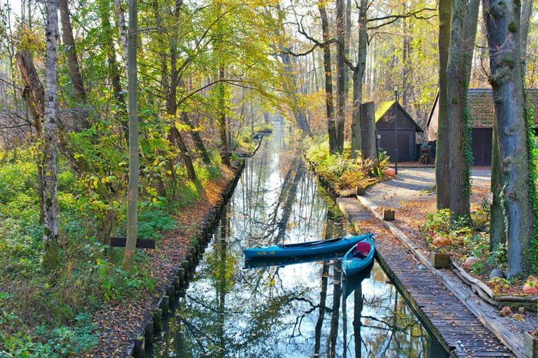Zomer in het Spreebos in Brandenburg