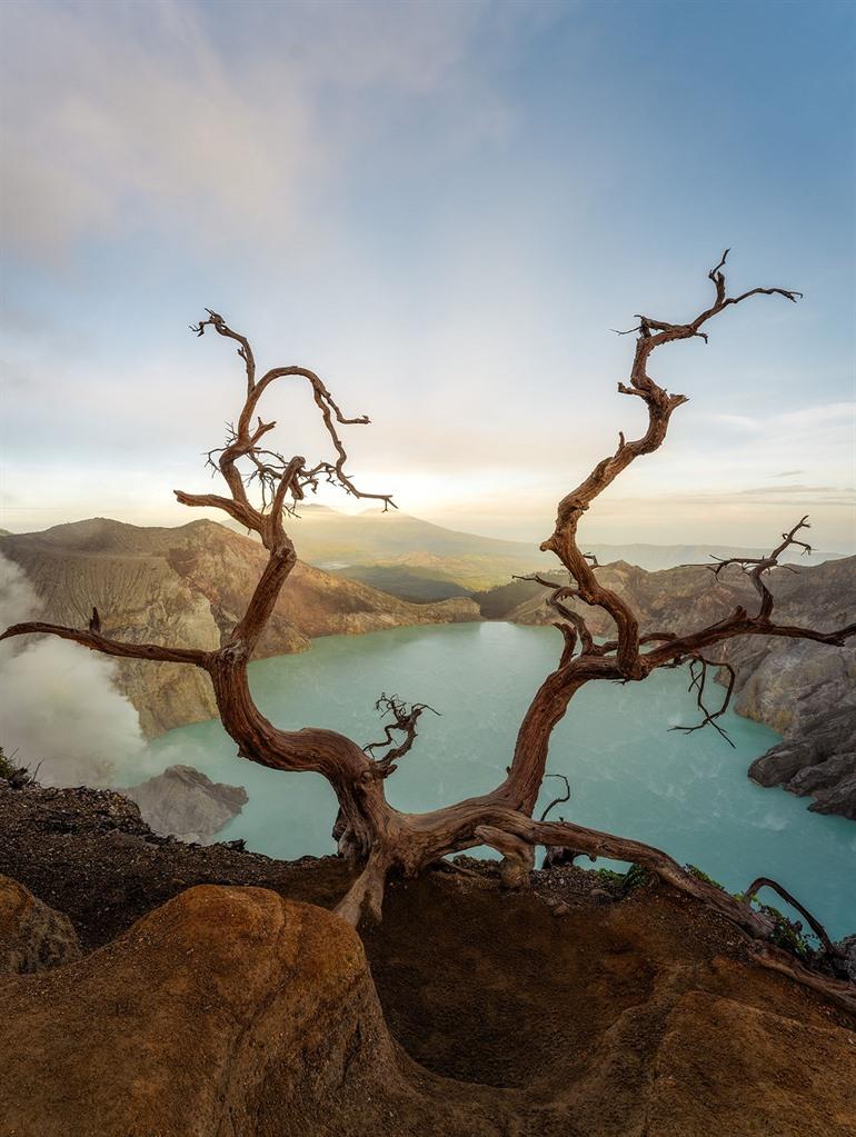 Zonsopgang bij de Dead Trees, Mount Ijen