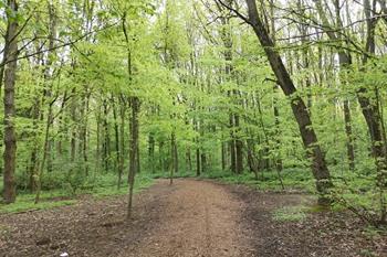 Zottegem Domein Breivelde