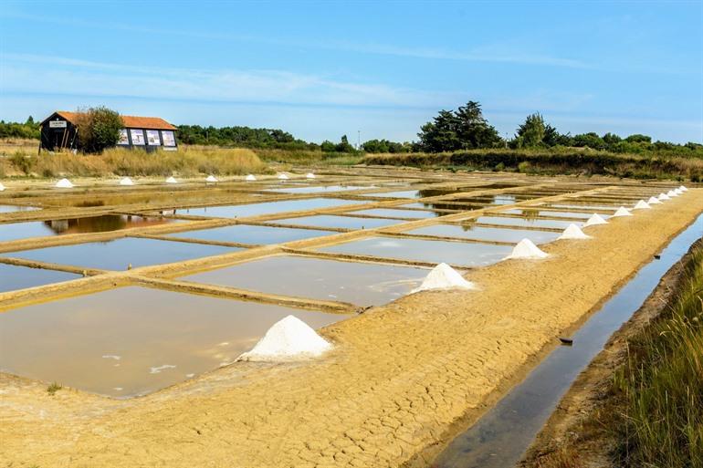 Zoutmoerassen van Île d'Oléron