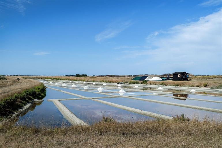 Zoutmoerassen van Noirmoutier, Frankrijk