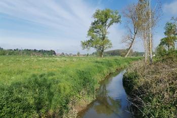 Zwalmbeek in Roborst (Zwalm)