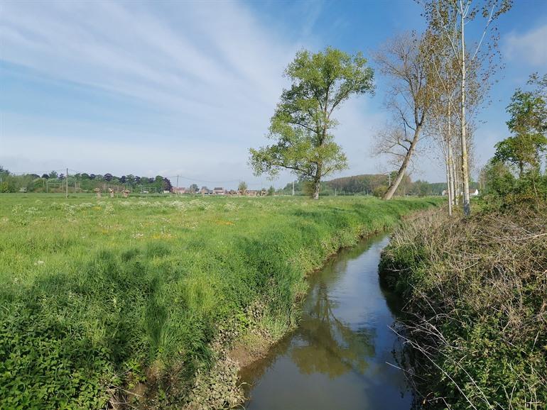 Zwalmbeek in Roborst (Zwalm)